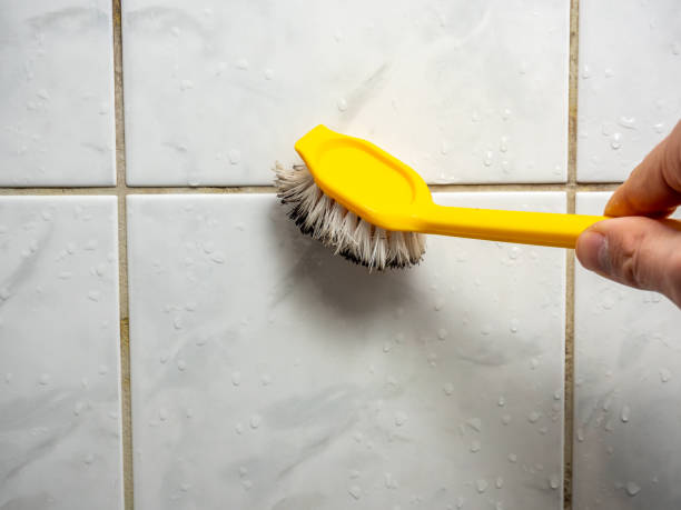 Trusted Dunnavant, AL Mold Removal Experts