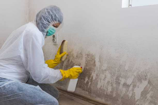 Best Mold Cleaning Services  in Dunnavant, AL