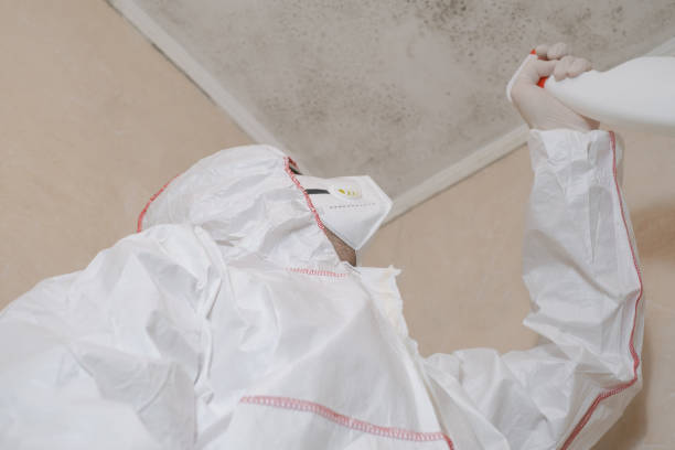 Best Crawl Space Mold Removal  in Dunnavant, AL